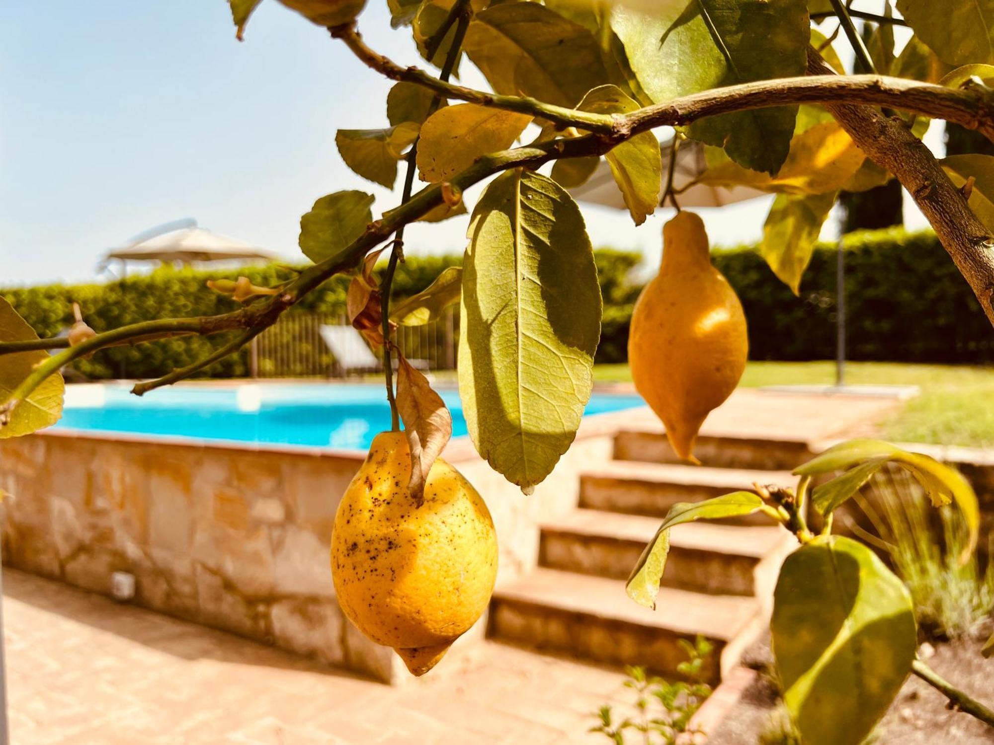 Libertas Tuscan Hideaway San Sano 외부 사진