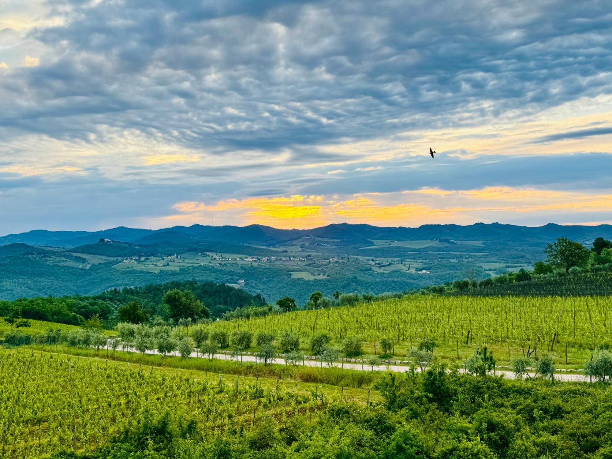 Libertas Tuscan Hideaway San Sano 외부 사진